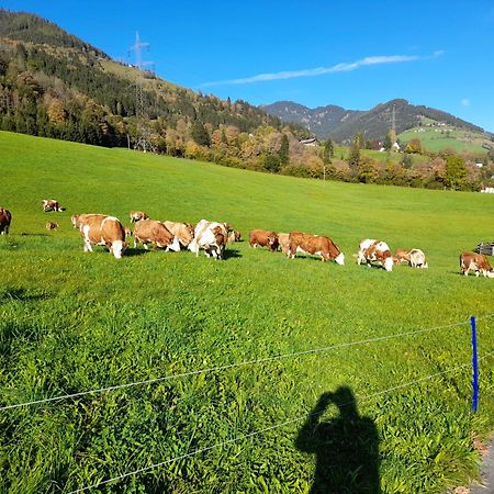 Viehhofgut Lejlighed Fusch an der Glocknerstraße Eksteriør billede